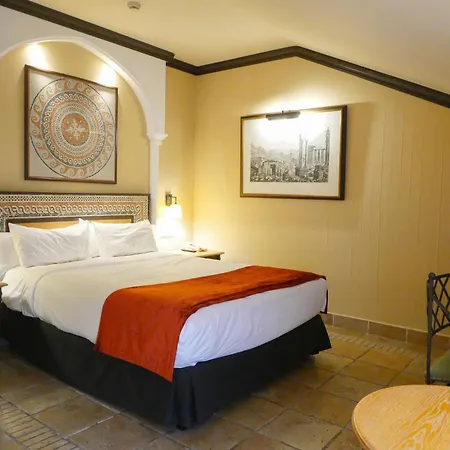 Hotel Ilunion Merida Palace-3